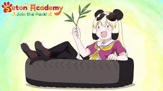 Panda Show | Seton Academy: Join the Pack!
