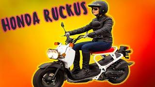 Honda Ruckus   почему он популярен  в Азии и Северной Америке