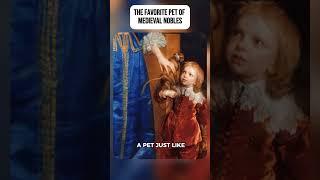 The favorite pet of medieval nobles. #retro #history #nostalgie #curiosity #curious #medieval