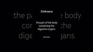 Abdomen (n.)  #wordsmeaning #ieltspreparation #shorts #learnewordaily