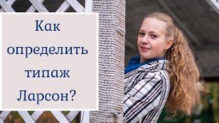 Как определить свой типаж Ларсон?