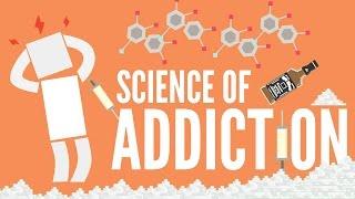The Science of Addiction