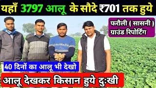 खेतों में 3797 आलू के ₹701 के सौदे हुये  ये वही खेत है जो आलू सड़ गया था | real farmer | sasni alu