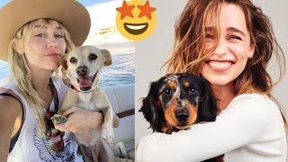 Funny Celebrity Pets |  Part 1: A compilation of the funniest celebrity pet photos and videos