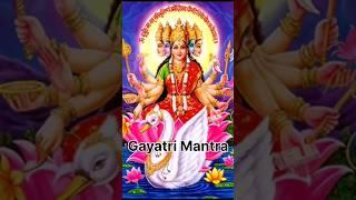 GAYATRI MANTRA #mantra #gayatrimantra #gayatri #friday #spirituality #spiritual #maa #MAA #prayer