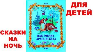 Сказки на ночь для детей.  Как собака друга искала - аудио сказка онлайн