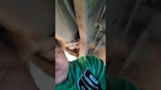 1990 Ford F150 Fuel pump Problem Planning for Replacing | KIKOY YOUTUBE TV