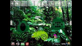 G2R Chameleon Rain Forest Escape Walkthrough [Games2Rule]