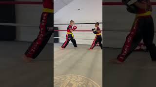 Amad 'The Assassin' Hitting and Holding Pads