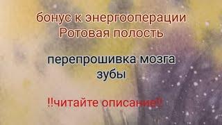 #бонус Перепрошивка #мозг зубы