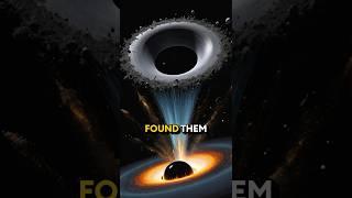 Neil Degrasse Tyson talks what would happen if quark fell into a black hole?