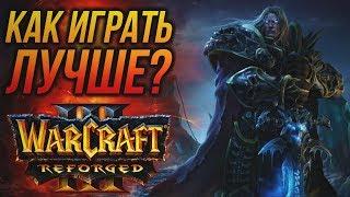 Лучший гайд для новичков по Warcraft 3 Reforged или как Выигрывать!