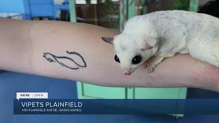 We're Open: V I Pets Plainfield specializes in exotic pets