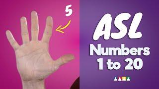 How to Count to 20 in Sign Language | ASL Numbers 1-20 | ASL Counting