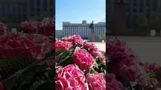 Московская площадь #санктпетербург  #saintpetersburg #россия #russia