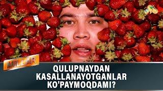 Qulupnaydan kasallanayotganlar  "Millar"