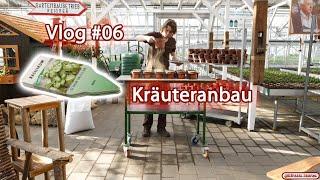 Vlog #06 - Kräuteranbau