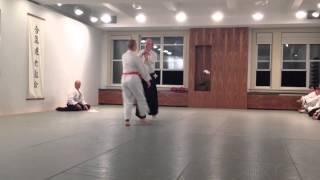 Aikido Kokikai Test