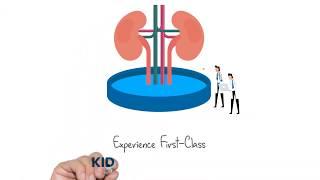 First Class Kidney Stone Care - UCI Department of Urology Kidney Stone Center
