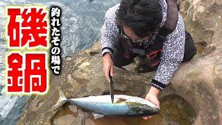 豪快‼釣ったその場で捌いて寒ブリ鍋を食う‼