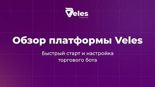 Обзор платформы Veles