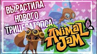 ВЫРАСТИЛА нового СТЕГОЗАВРИКА • animal jam • энимал джем • Симулята  #animaljam #aj #энималджем 🫨