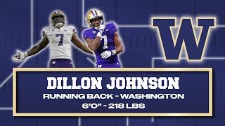 Dillon Johnson - NFL Prospects in Less Than Three Minutes