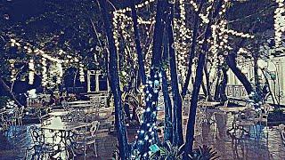 The Best Way To Install Fairylights On Trees For Weddings|Christmas Lightings Decoration.