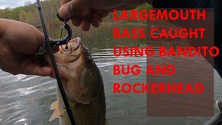 Largemouth Bass Caught Using Googan Baits Bandito Bug and Headbanger Lures Rockerhead
