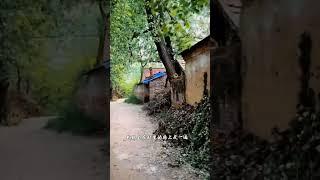 乡村的宁静：童年记忆的心灵港湾