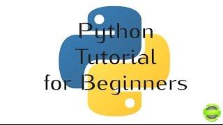 Python Programming Tutorial for Beginners - Section 6: Input and Statistics