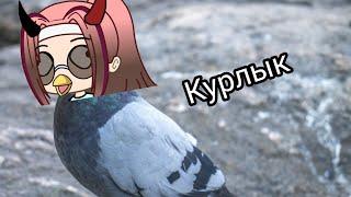 //Meme //"Курлык"///[Gacha Life]