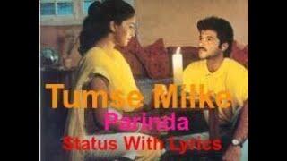 Tumse Milke Aisa Laga Tumse Milke Status | Parinda | Anil Kapoor | Madhuri Dixit | 90s Love Song