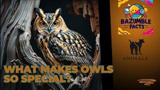 Can ANY Animal Turn Its Head Like an Owl?