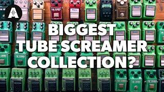 Have you EVER seen this many Tube Screamers?? (And how different do they actually sound?)