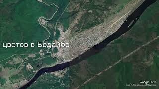Доставка цветов в Бодайбо - Заказ букетов от компании Скорая подарочная помощь