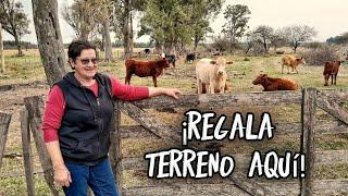 Mujer decide REGALAR TERRENO en este PARAÍSO RURAL en que VIVE | ¿Por qué hace ÉSTO? | Entre Ríos