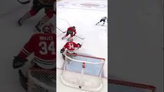 Goodness gracious Petr Mrazek 