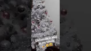 Christmas never ends in my house!!#Christmas #summer  #trythis #mothersday #fun #shorts #funny #fy
