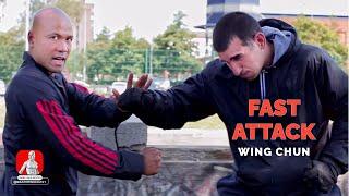 Fast Attack Wing Chun Punch Techniques