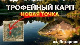 Пошел на ЯНТАРНОЕ!  и вот что получилось! Русская рыбалка 4! Russian fishing 4!