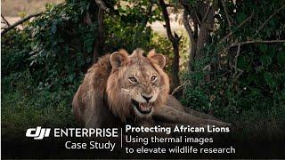 Revolutionizing Animal Conservation: Protecting Lions with DJI Zenmuse H30T in Uganda