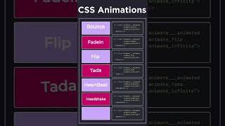 Css Animation Effect Tutorial | For Beginners | HTML | CSS