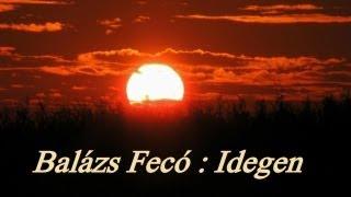 Balázs Fecó - Idegen