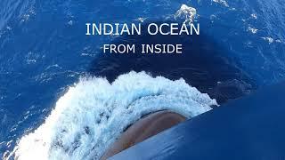 Индийский океан, часть2. Indian ocean 2.