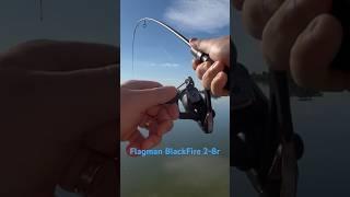 Тест Flagman 24ʼ BlackFire 2-8г