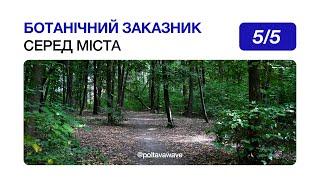 Чим унікальний ботанічний заказник Гришкин ліс у Полтаві