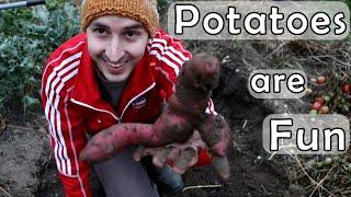 Potatoes are Fun