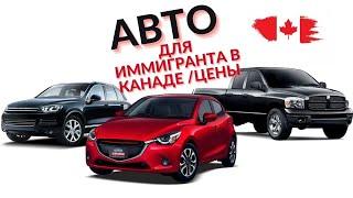 Машины по цене ЛАДЫ в КАНАДЕ||Первое авто для иммигрантов Канады!