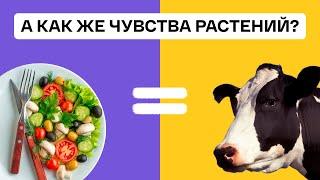 РАСТЕНИЯМ ТОЖЕ БОЛЬНО! — почему веганам не жалко растения? | Что о чувствах растений говорит наука?